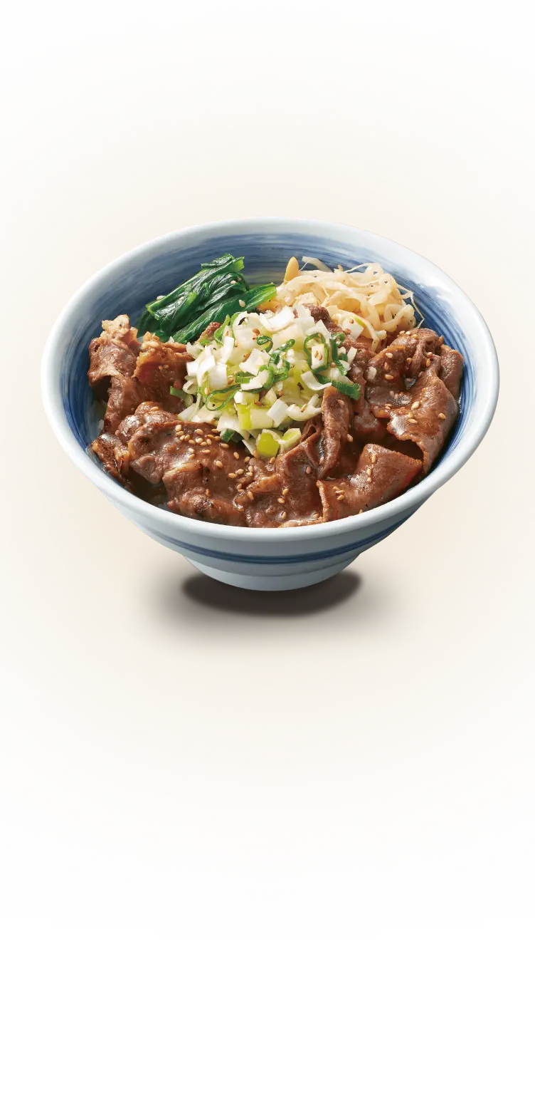 ねぎ塩牛タン丼のイメージ写真