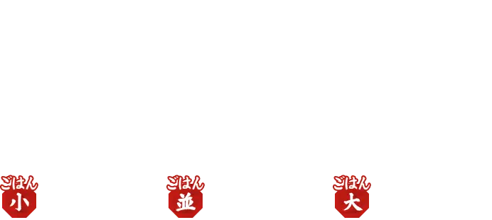 贅沢ねぎ塩 牛タン丼 【ごはん小】1,250円 【ごはん並】1,290円 【ごはん大】1,350円