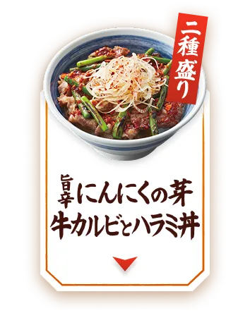 旨辛にんにくの芽牛カルビとハラミ丼