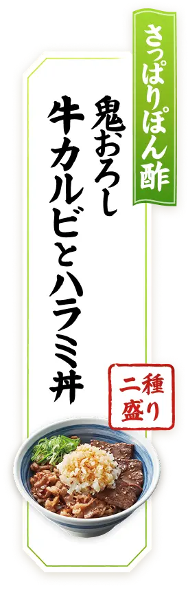 さっぱりぽん酢 鬼おろし牛カルビとハラミ丼