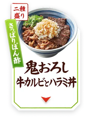 さっぱりぽん酢 鬼おろし牛カルビとハラミ丼