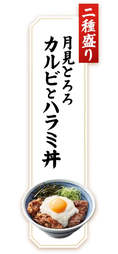 二種盛り 月見とろろカルビとハラミ丼