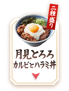 月見とろろカルビとハラミ丼 二種盛り
