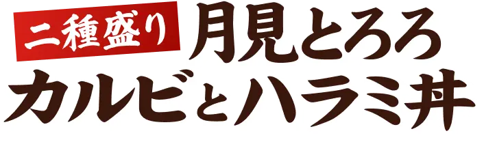 二種盛り 月見とろろカルビとハラミ丼