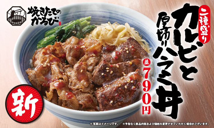 【二種盛り】カルビと厚切りハラミ丼