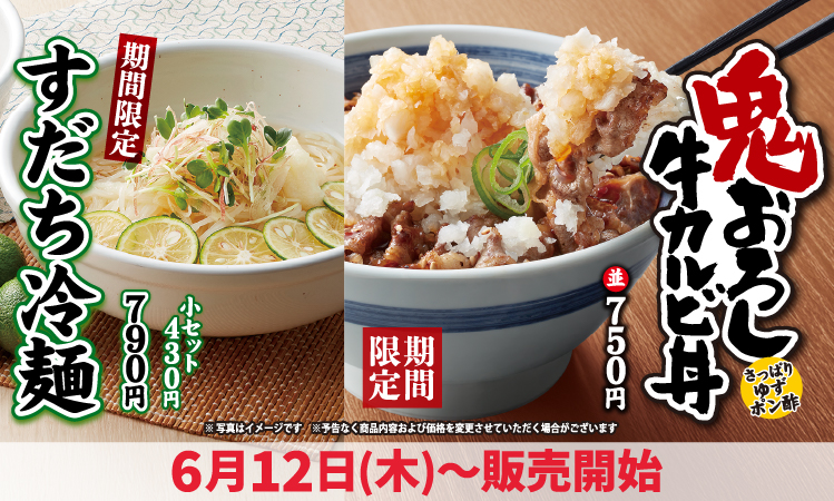 京都産九条ねぎ カルビ丼